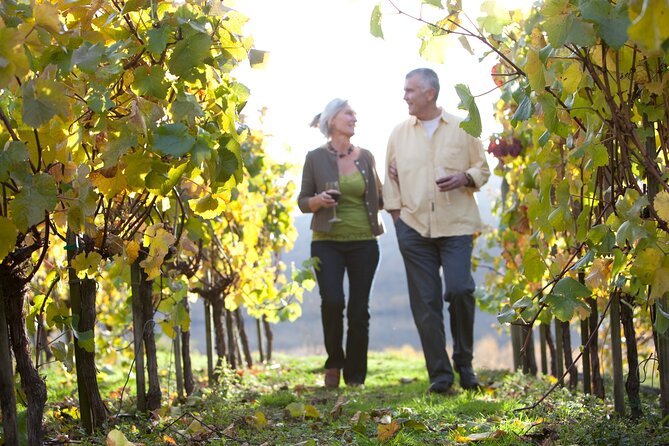 Queenstown VIP Wine Drop and Hop Tour - The guide factor: flexibility that actually matters