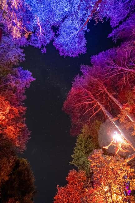 Queenstown: Whimsical Sensory Night Walk at LUMA Enchanted - Entering the Glow at Kiwi Park: The Skyline Gondola Tunnel Start