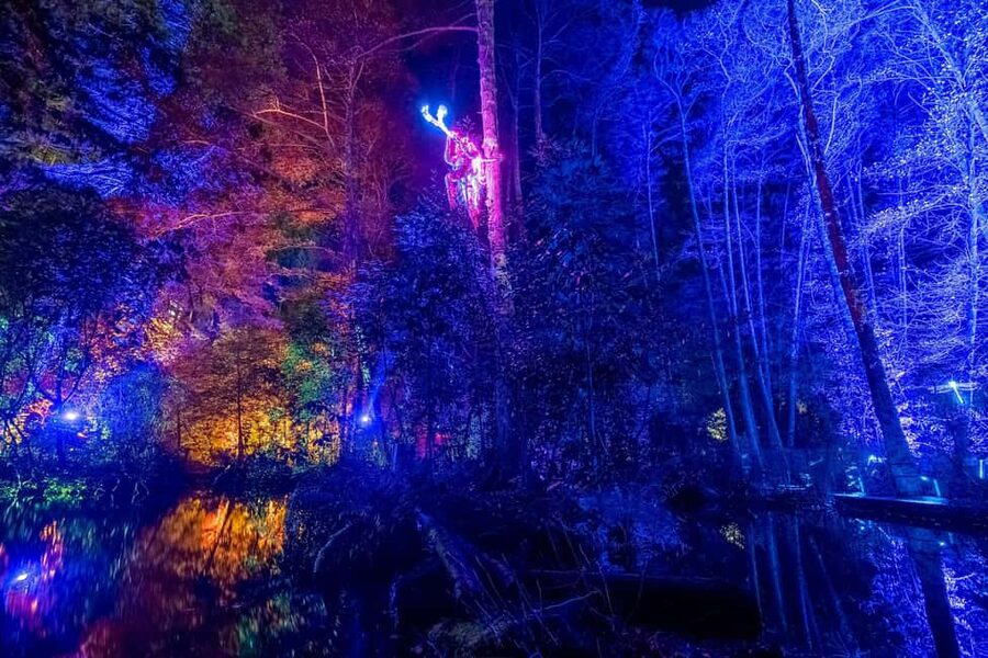 Queenstown: Whimsical Sensory Night Walk at LUMA Enchanted - The Main Event: A Five-Acre Forest of Light, Sound, and Touch
