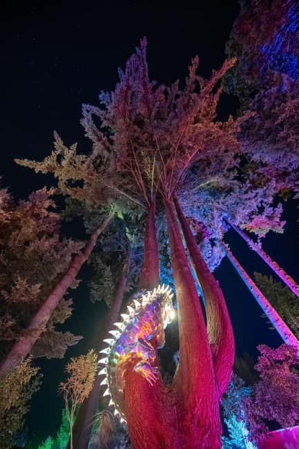 Queenstown: Whimsical Sensory Night Walk at LUMA Enchanted - Interactive Displays: Where Hands-On Moments Make It Memorable