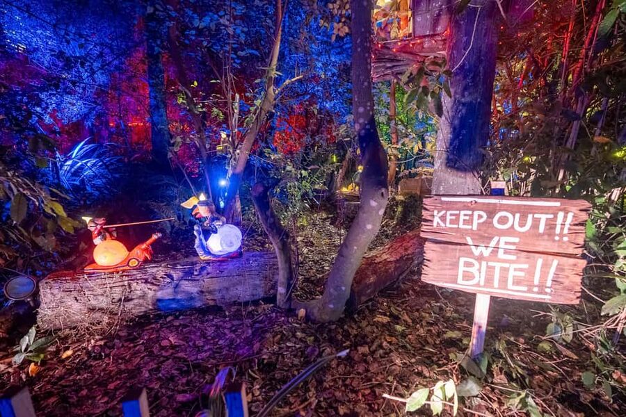 Queenstown: Whimsical Sensory Night Walk at LUMA Enchanted - Who Should Book LUMA Enchanted (and Who Might Prefer Something Else)?