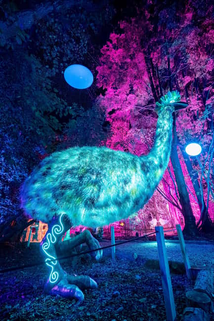 Queenstown: Whimsical Sensory Night Walk at LUMA Enchanted - Practical Tips for a Smooth Night-Walk