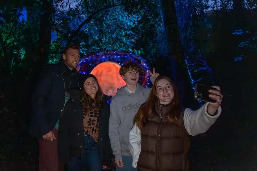 Queenstown: Whimsical Sensory Night Walk at LUMA Enchanted - Should You Book LUMA Enchanted at Kiwi Park?