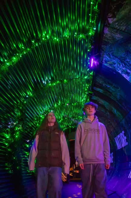 Queenstown: Whimsical Sensory Night Walk at LUMA Enchanted - FAQ