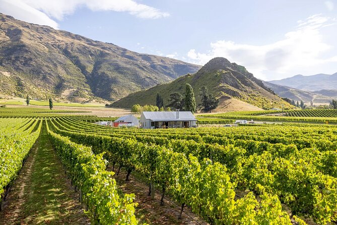 Queenstown Wine & Food Tour: Scenery, Tastings & Delicious Lunch! - Kinross: Where the Wine Pairing Turns Into a Real Lunch