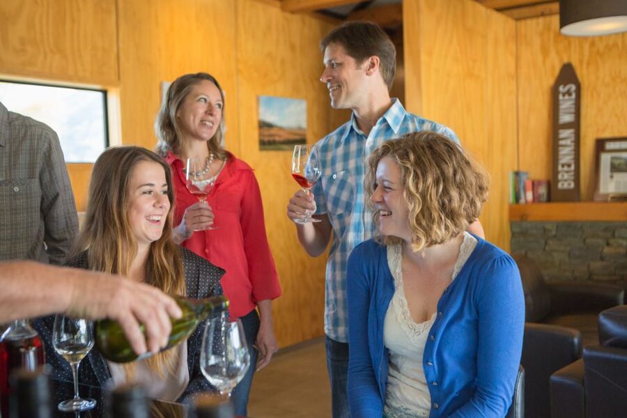 Queenstown: Wine & Food Tour, Scenic Tastings & Paired Lunch - Three wineries, one easy plan: boutique stops plus a bigger-name style