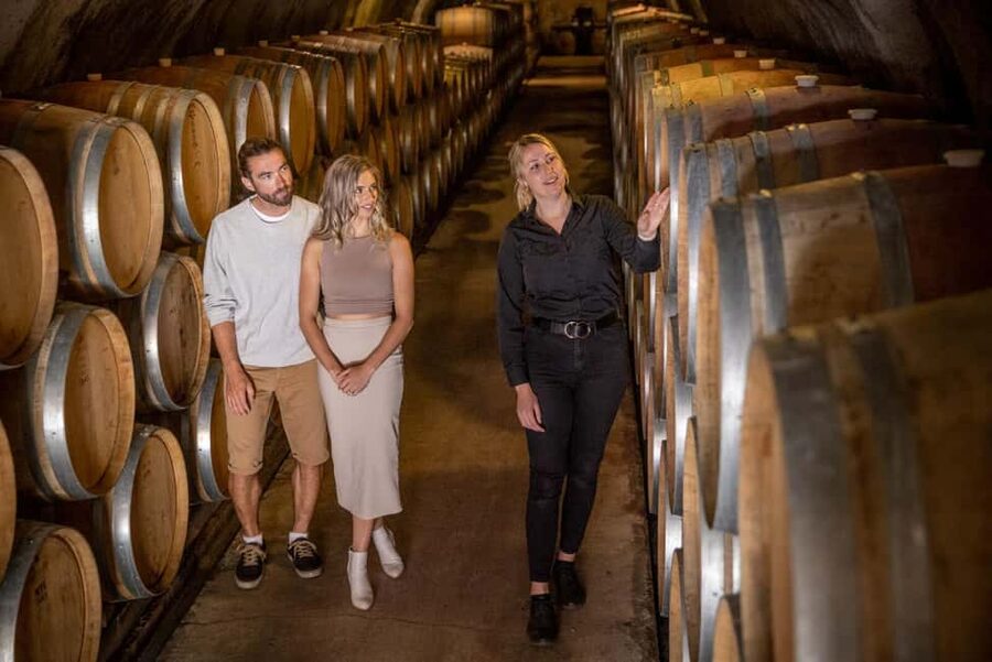 Queenstown: Wine & Food Tour, Scenic Tastings & Paired Lunch - Central Otago in plain terms: from cold-climate grapes to Pinot focus