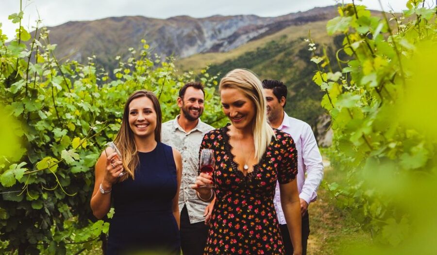 Queenstown: Wine Tasting Tour - Price and value: $134 for a full wine day, not just tastings