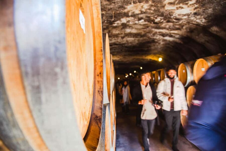 Queenstown: Wine Tasting Tour - What the tastings add up to: 18+ pours and real learning