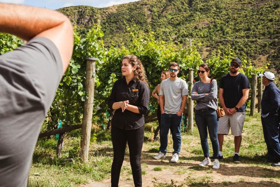 Queenstown: Wine Tasting Tour - Comfort and small-group size: the difference between a party and a tour