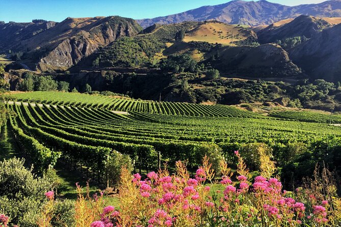 Queenstown Wine Tour - Where to end your day: Ayrburn and dinner plans at The Woolshed or Billy’s