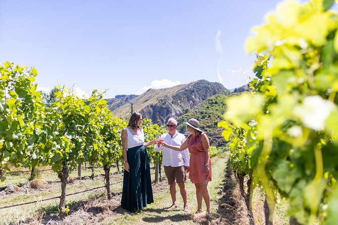 Queenstown Wine Tour - Should you book this Queenstown Wine Hopper tour?