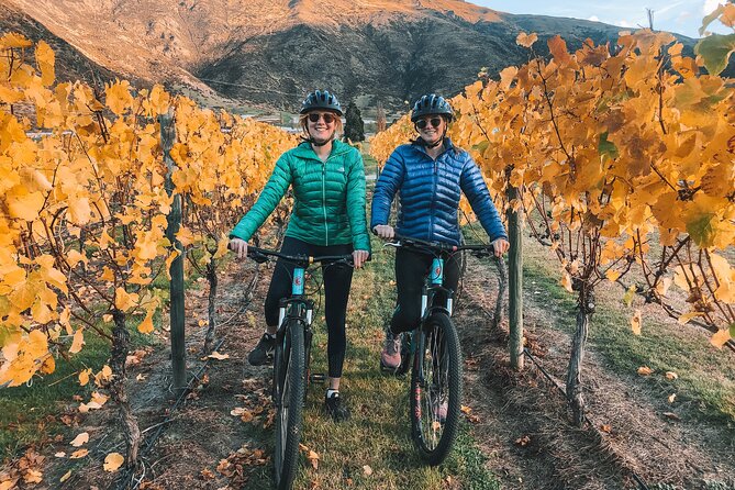 Ride Queenstown’s Stunning Trails on a Mountain Bike - Value check: is $27.93 per person worth it?