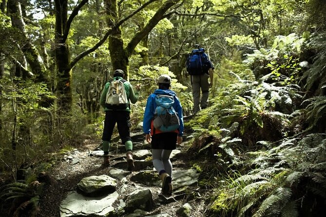 Rob Roy Glacier Guided Walk - Wānaka Morning Drive: This Is Part of the Experience