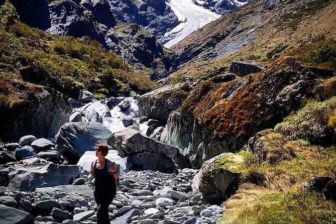 Rob Roy Glacier Guided Walk - The Rob Roy Glacier Reveal: When the Forest Drops Away