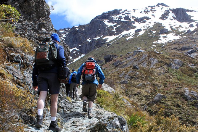 Routeburn Track Guided Hike (Full Day) - Key things that make this Routeburn day worth it
