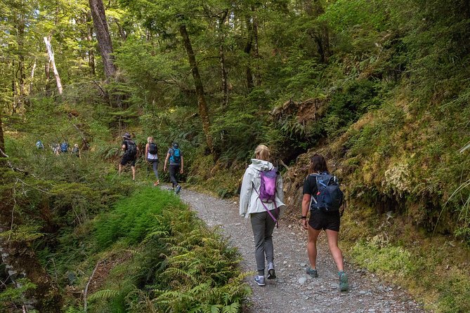 Routeburn Track Guided Walk (Half-Day) - Why This Half-Day Routeburn Walk Works Without the Full Trek