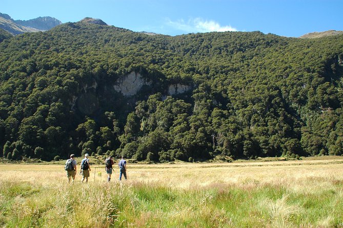 Siberia Experience:Fly-Hike-Jetboat:Wilderness Adventure:Wanaka - Price and Value: Is It Worth $353.73 Per Person?
