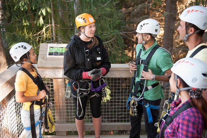 Small-Group Zipline Adventure in Queenstown - Skyline Gondola Timing and Check-In: The Logistics That Can Make or Break the Day