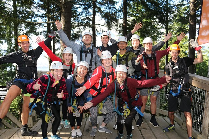 Small-Group Zipline Adventure in Queenstown - Safety and Gear: What’s Included, and What You Still Control