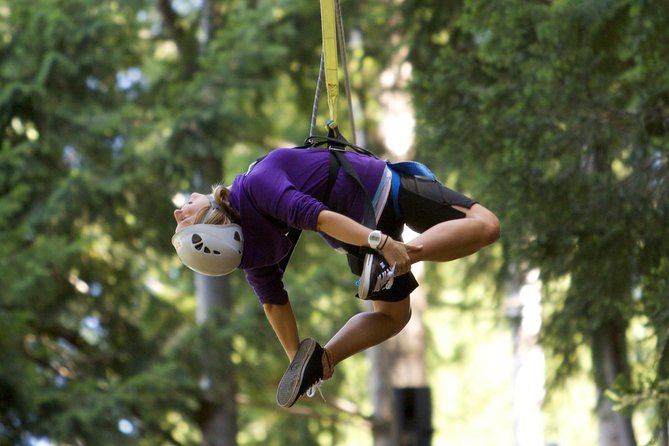 Small-Group Zipline Adventure in Queenstown - Who This Small-Group Zipline Adventure Suits Best