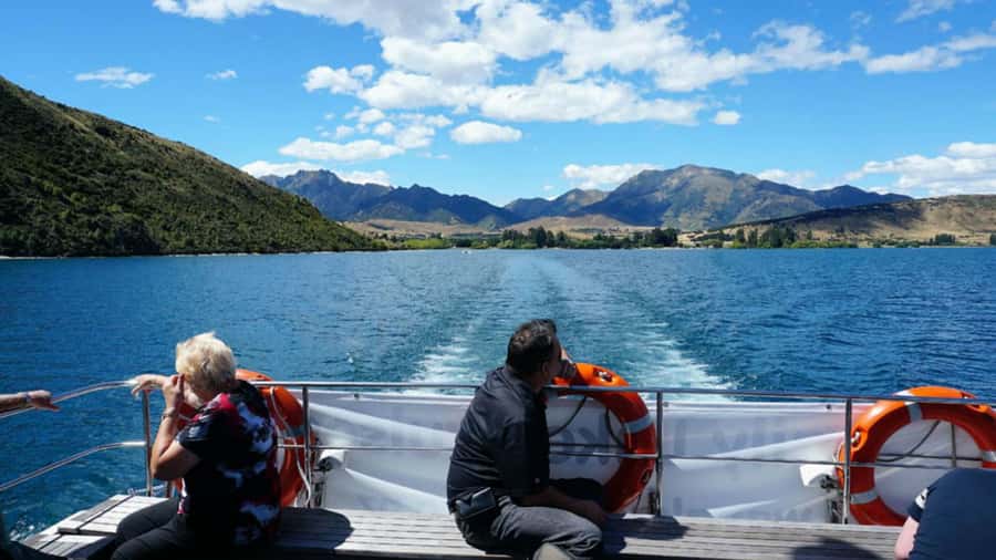 Stevensons Island 2-Hour Cruise and Nature Walk - Key highlights at a glance