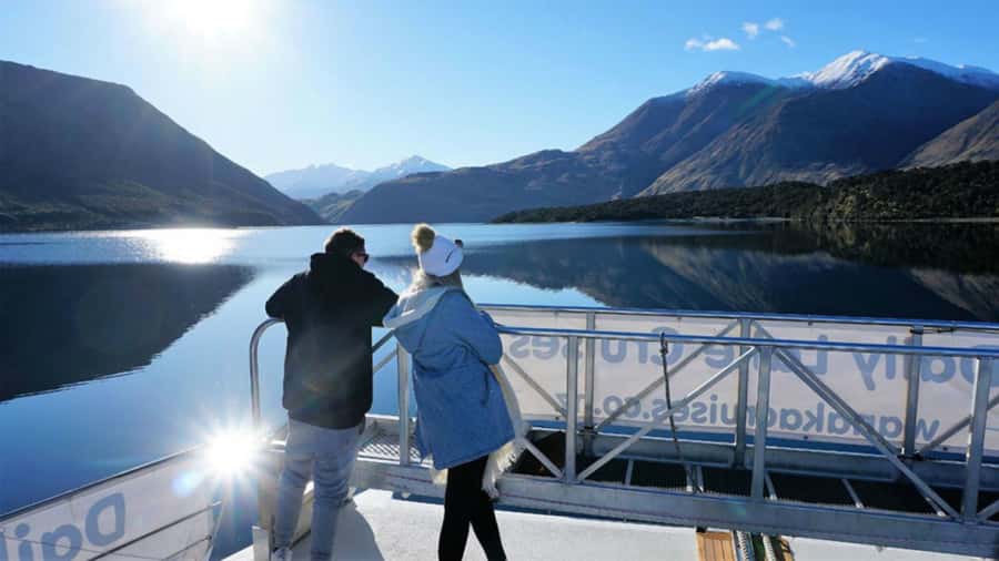 Stevensons Island 2-Hour Cruise and Nature Walk - Cruising the scenic loop: Stevensons Peninsula to Stevensons Arm