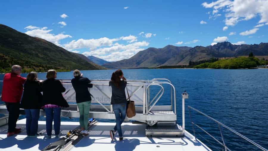 Stevensons Island 2-Hour Cruise and Nature Walk - Photo opportunities: when the cruise view beats the shore view