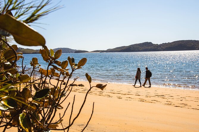 Stewart Island Fly Explore Fly ex Queenstown by Glenorchy Air - Up to five hours on Stewart Island: spending your free time well