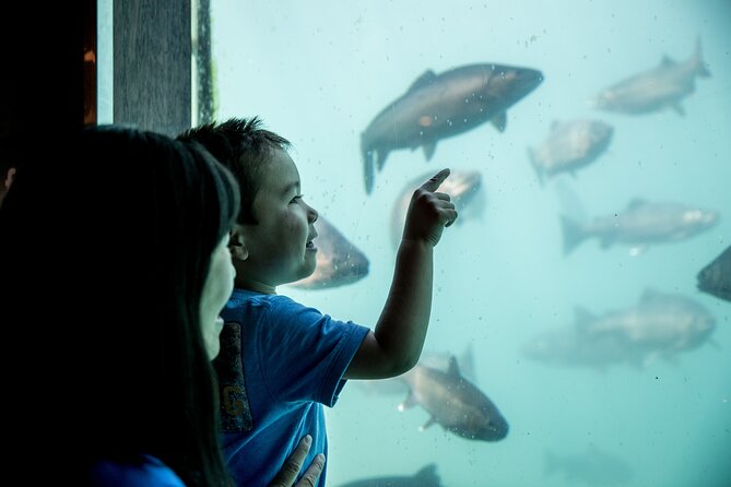 Time Tripper Queenstown - Māori legend plus science: how the lake’s story is framed