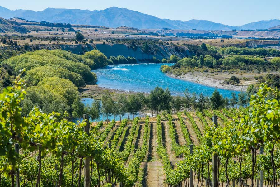 Wanaka: Afternoon Boutique Wine Tour - Key things to know before you go