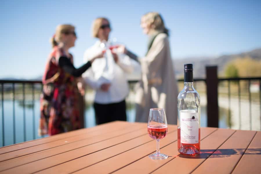 Wanaka: Afternoon Boutique Wine Tour - Wanaka wine tours feel best when they’re small