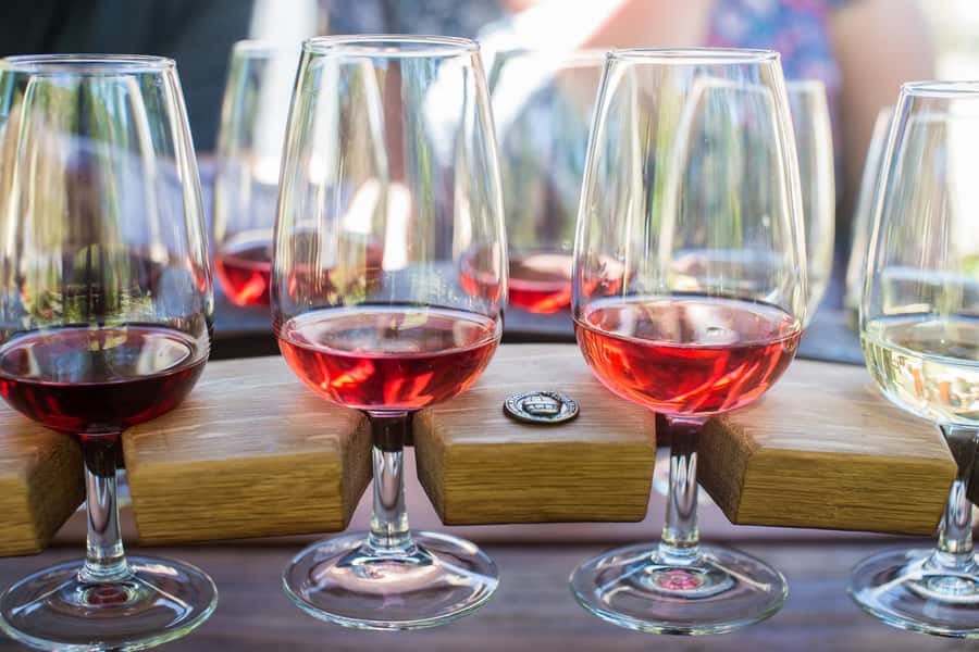Wanaka: Afternoon Boutique Wine Tour - What it’s like in a small group (and how the guide shapes it)