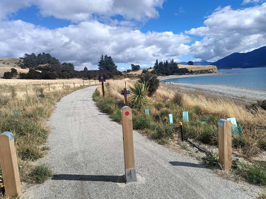 Wānaka And Hāwea: Trail Ride on Bike or E-Bike - Bike Choice: Regular vs E-Bike (and How to Use the Assistance)