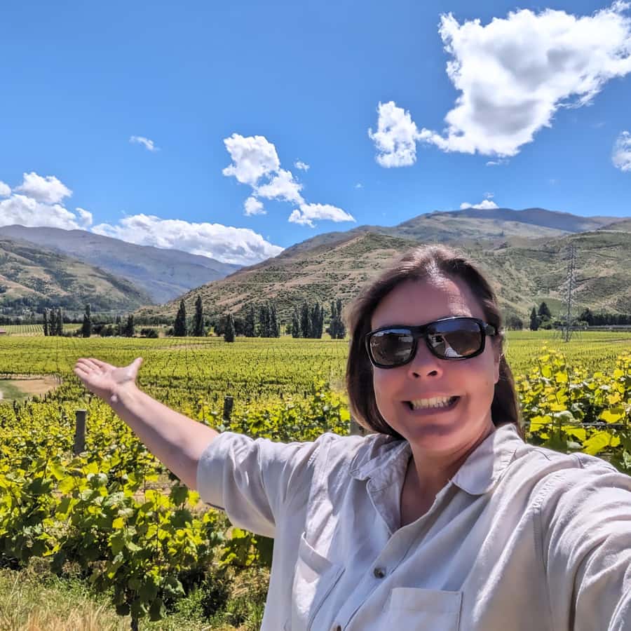 Wanaka: Full Day Wine Tour Hidden Gems - Key Takeaways Before You Go