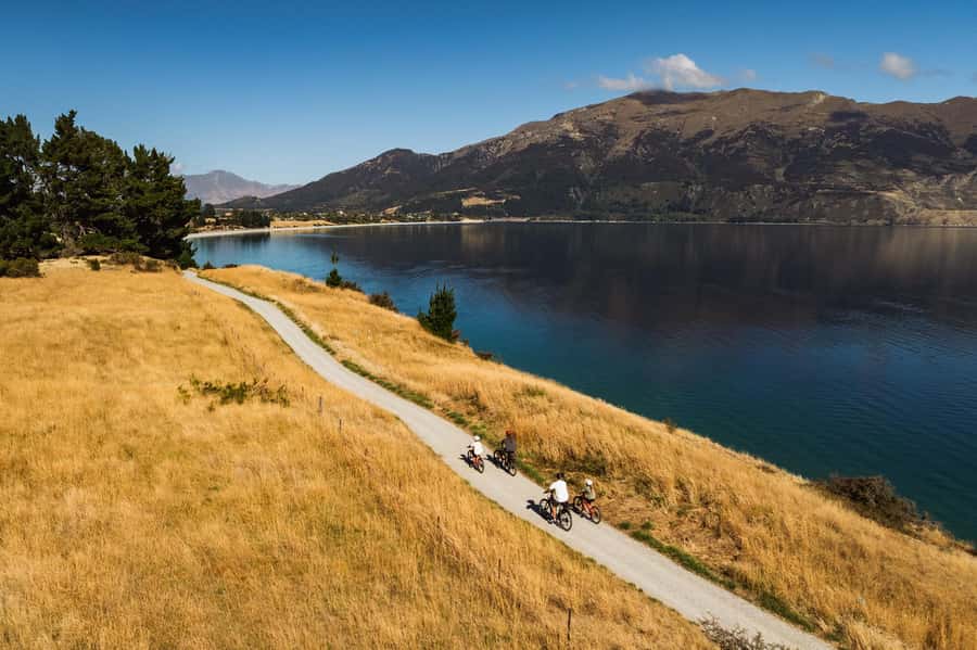 Wānaka: Gladstone Track and Wanaka Trails on Bike or eBike - #thatwanakatree: the quick photo stop that feels oddly important