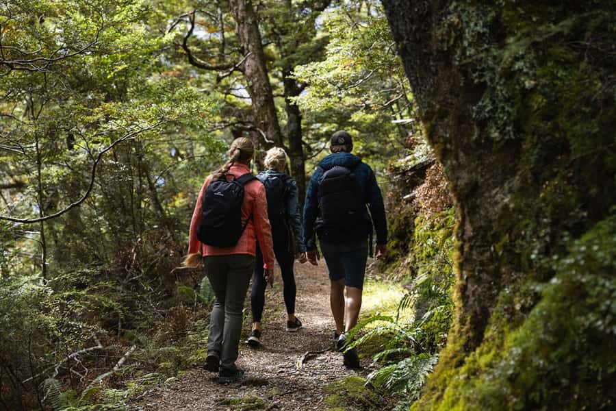 Wānaka: Heli Siberia - Helicopter Flight, Hike & Jet Boat - Helicopter flight over Mount Aspiring: the view in 15 minutes