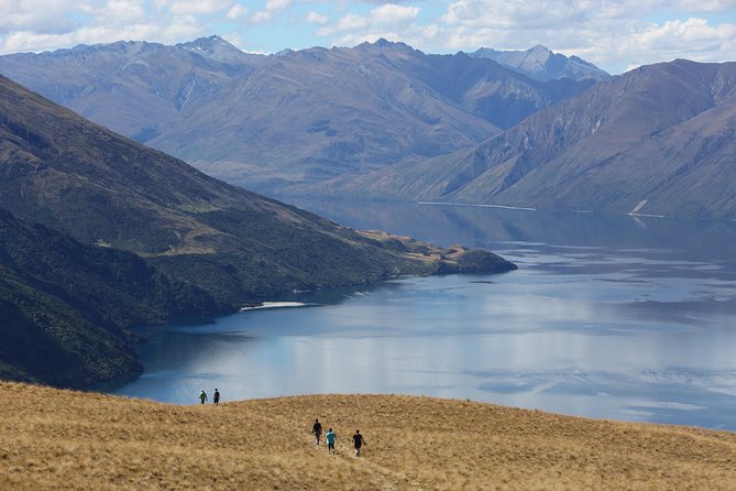 Wanaka High Country Walk - Key things to know before you go
