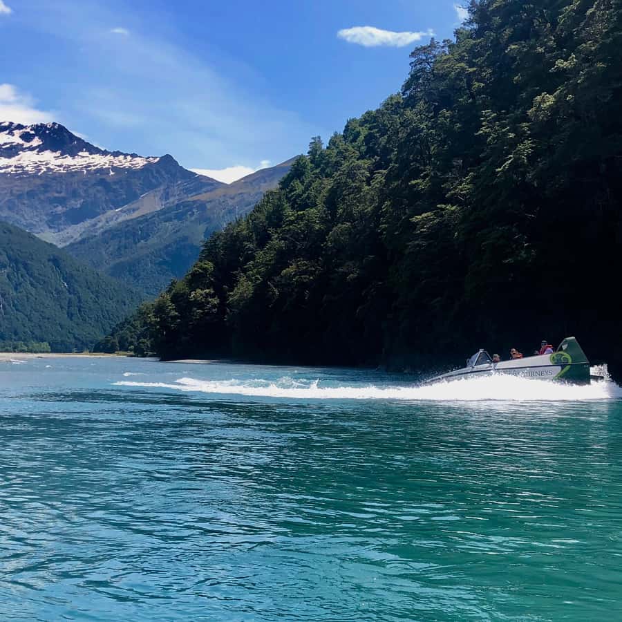 Wanaka: Jet Boat & Wilderness Walk - Meeting Point and Parking: Small Details That Save Your Schedule