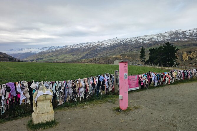 Wanaka Private Day Trip from Queenstown: TravelnGo - Lake Hayes: the calm warm-up before the big views
