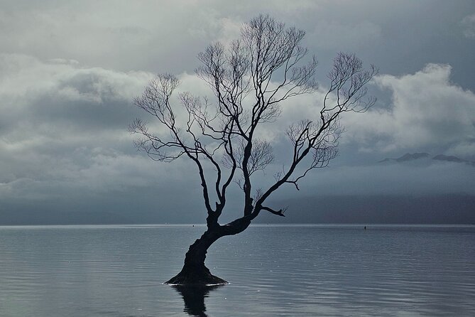 Wanaka Private Day Trip from Queenstown: TravelnGo - Wanaka town: boutiques, cafés, and an easy place to wander