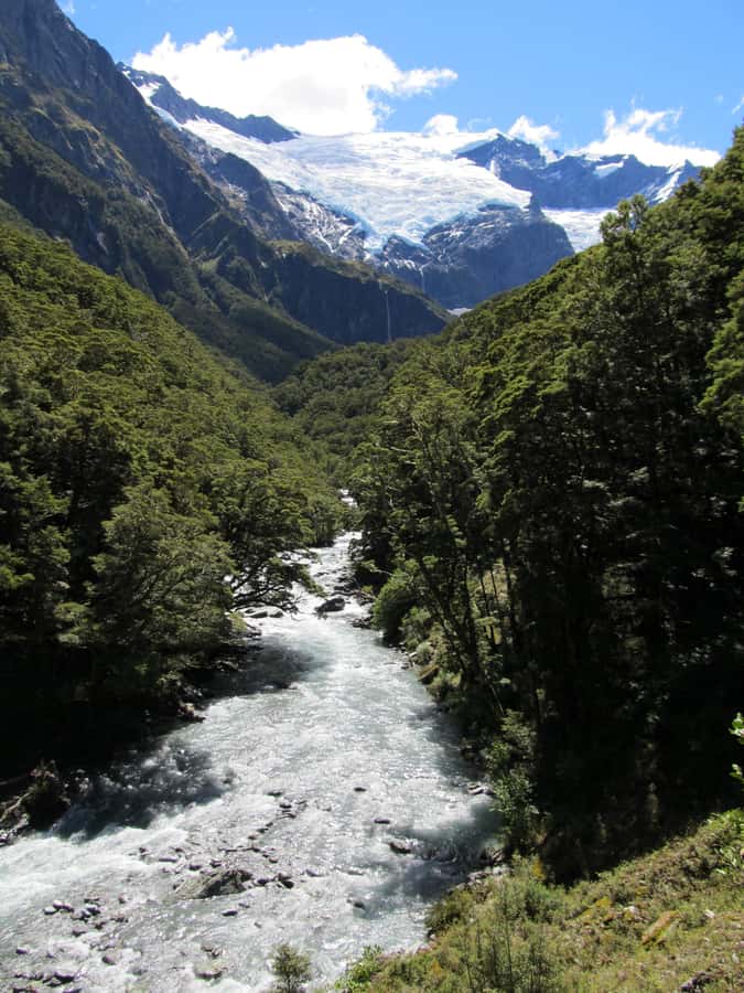 Wanaka: Rob Roy Glacier Guided Hike with Lunch - Climbing into the beech rainforest: when the guide makes it click