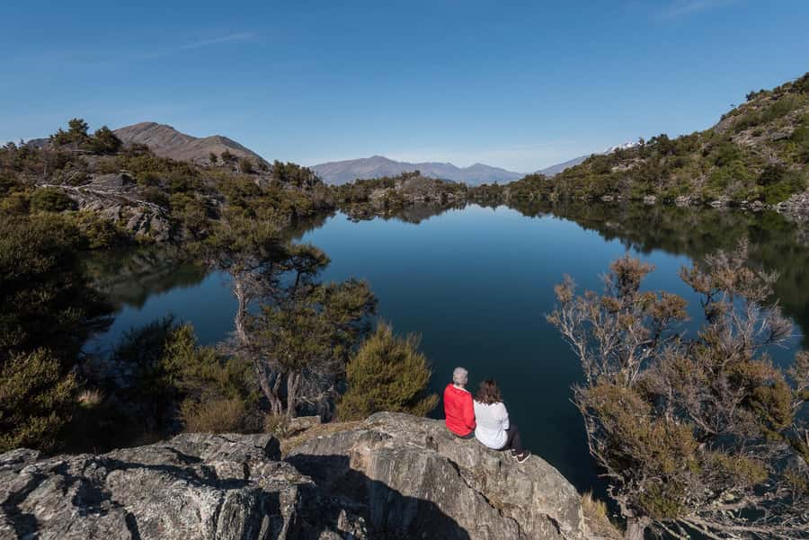 Wanaka: Water Taxi & Mou Waho Island Tour - Bird life in a predator-free reserve: Weka encounters are the main event