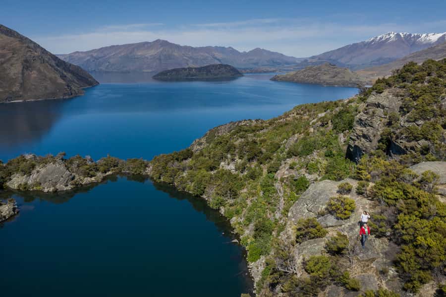 Wanaka: Water Taxi & Mou Waho Island Tour - Swimming in Lake Wanaka’s waters: cold feet, big satisfaction