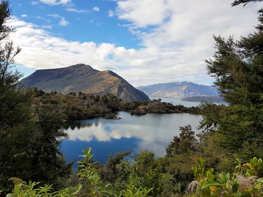 Wanaka: Water Taxi & Mou Waho Island Tour - How the timing really feels: 3 hours total, 1.5 hours on land