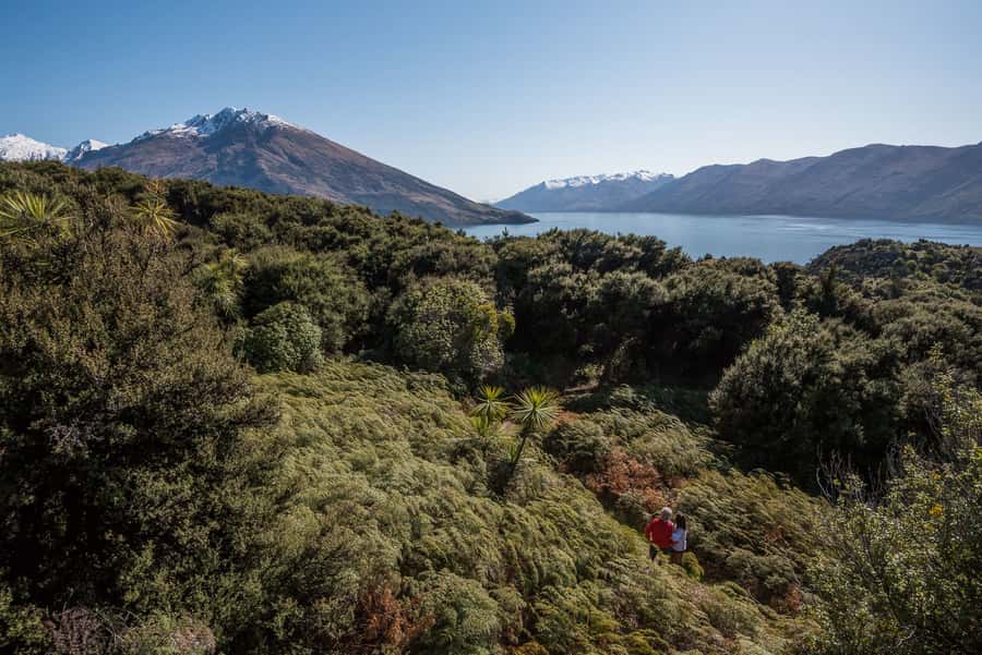 Wanaka Water Taxi Mou Waho Island Tour - Reaching Mou Waho: what the 90 minutes on the island really buys you