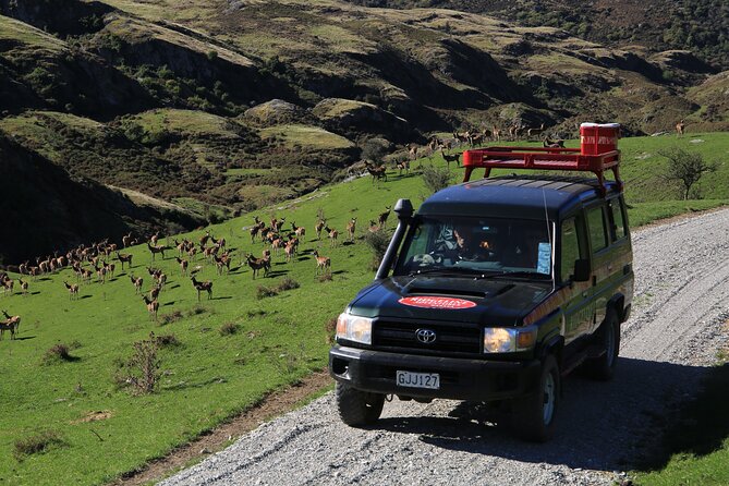 Wild Hills Off Road Safari - Price and Logistics: Why $204.79 Can Still Be Good Value