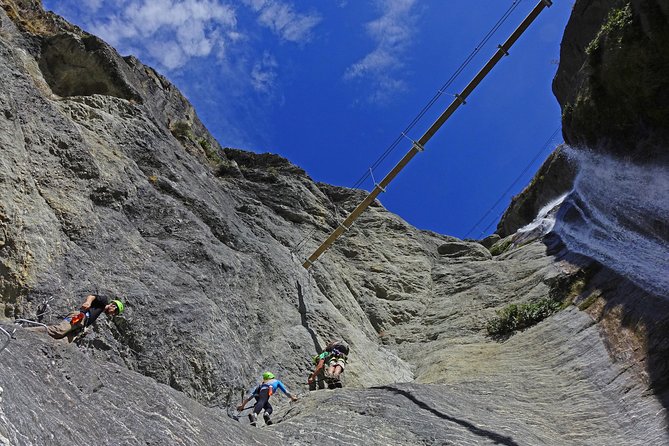 Wildwire Wanaka- Level 2 (4 Hours) - Price ($232.71) and whether it’s good value