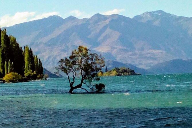 Wine Tasting Adventure Wanaka and Beyond - 7 hours that start at 10:30: your day, hour by hour