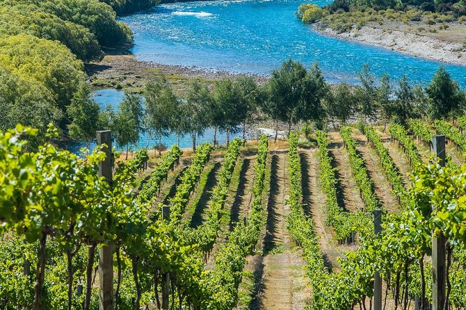 Wine Tour with Wine Tasting from Wanaka - Price and value: $184.31 isn’t cheap, but it includes the heavy lifting